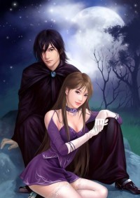 醫武賢婿